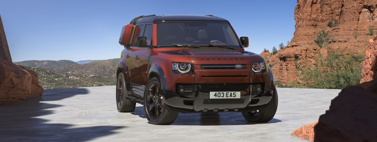 DEFENDER 110 SEDONA EDITION