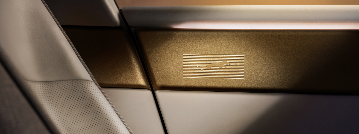 Type 01 Interior Leaper