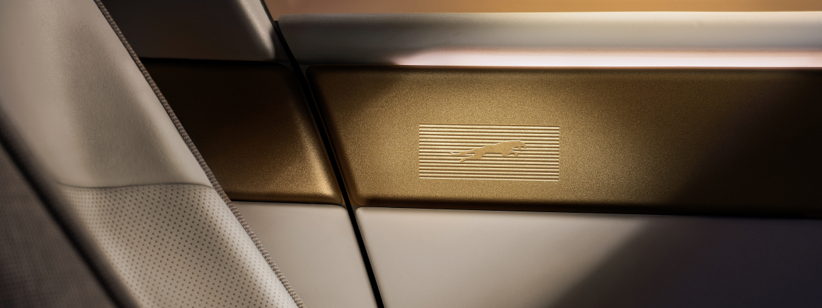 Jaguar Type 01 Interior Leaper