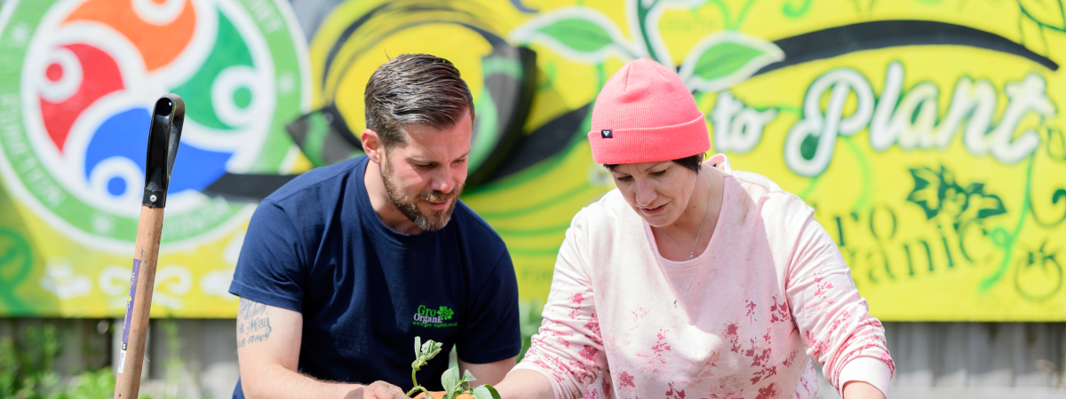 JLR allotment will provide fresh produce to the local community