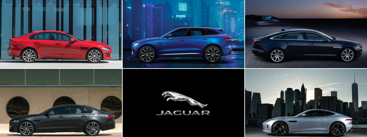 Jaguar Announces 2016 Product Offerings