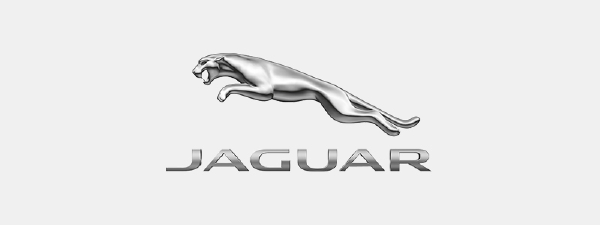 Jaguar lolgo