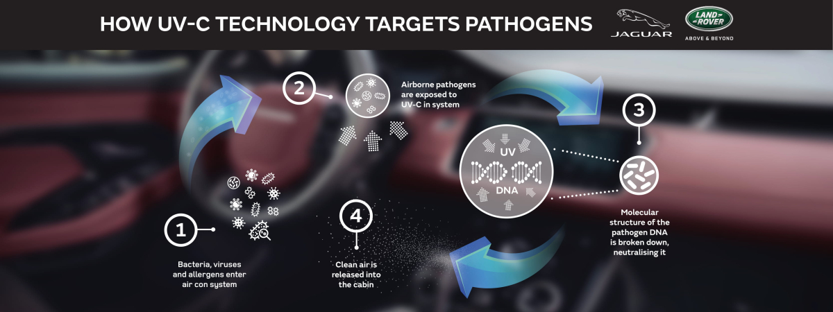 JLR Pathogens Infographic