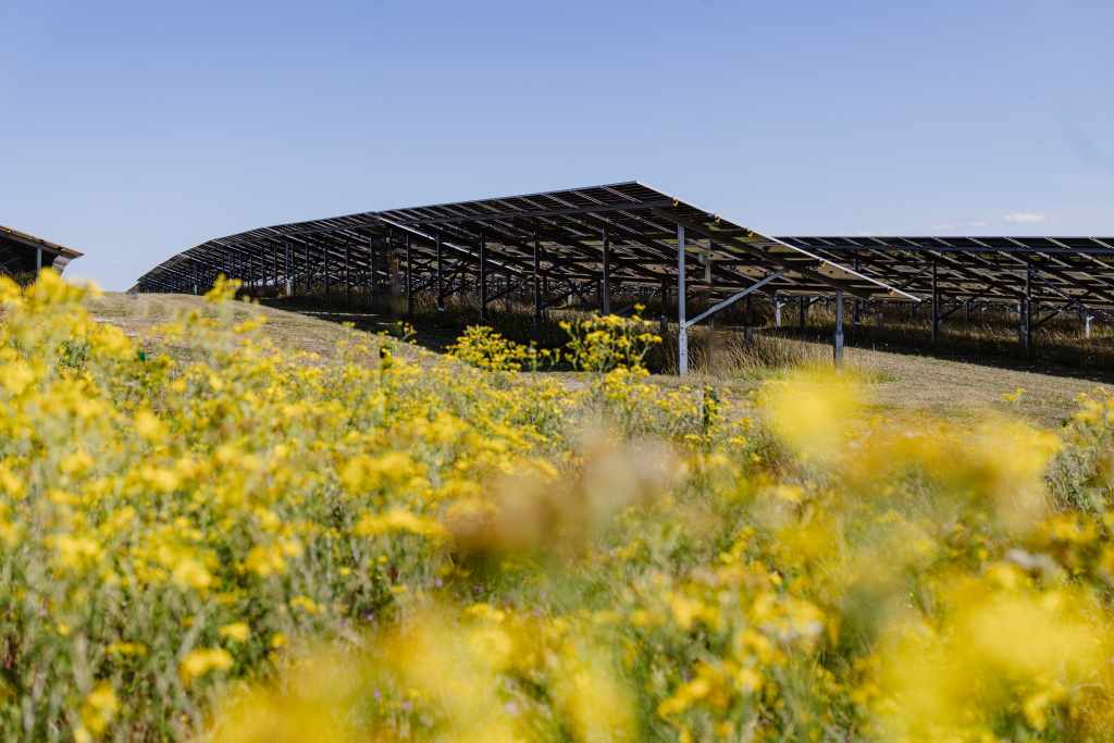 JLR Gaydon solar farm 2