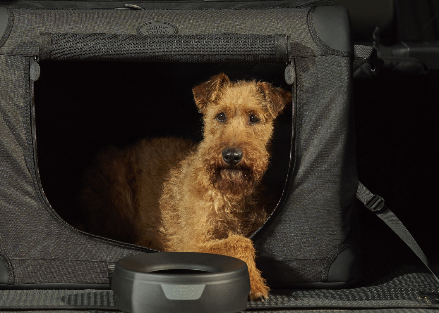 DISCOVERY ACCESSORY PACK: FOR DOGS