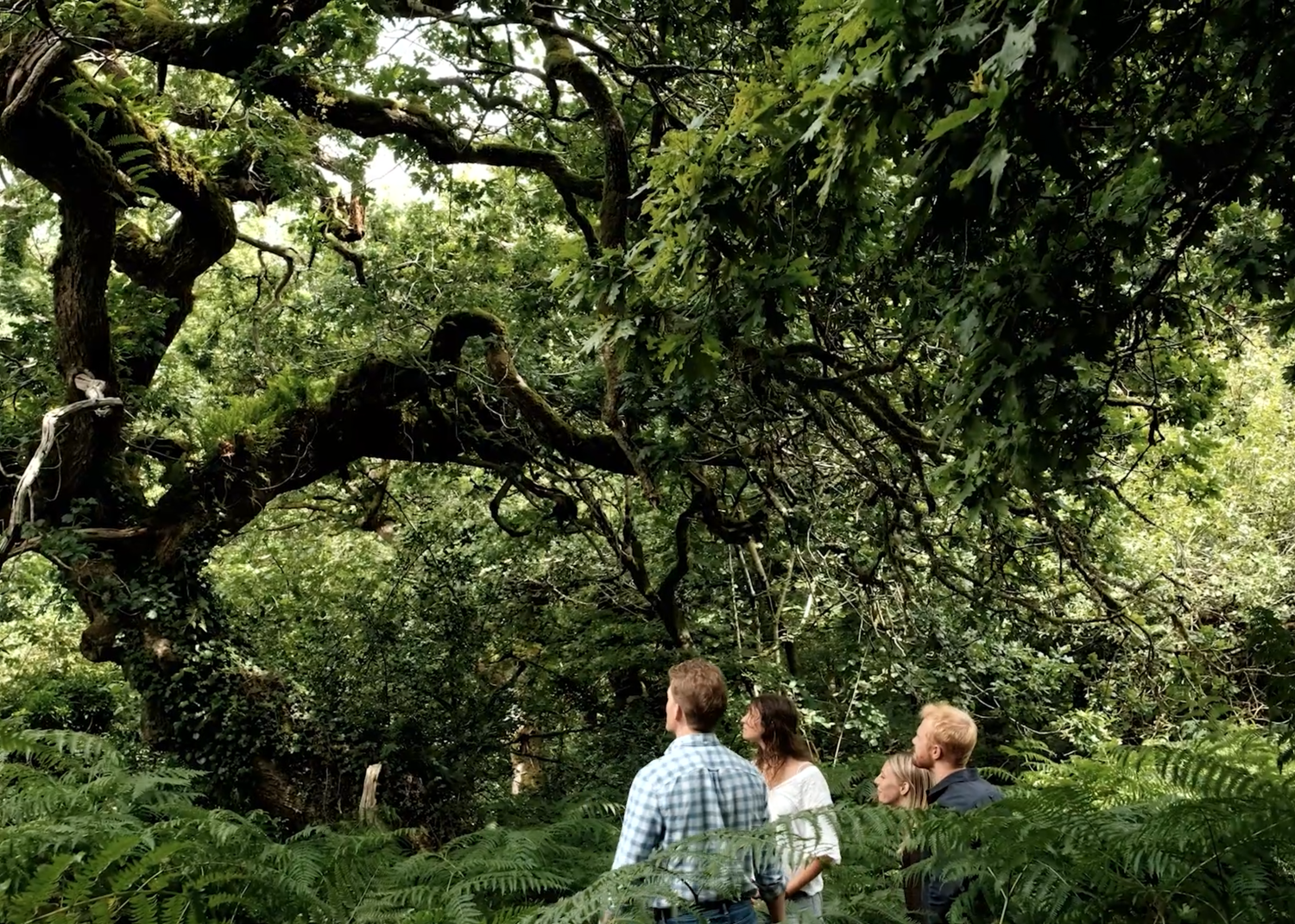 DEFENDER AWARDS: UK - Thousand Year Trust