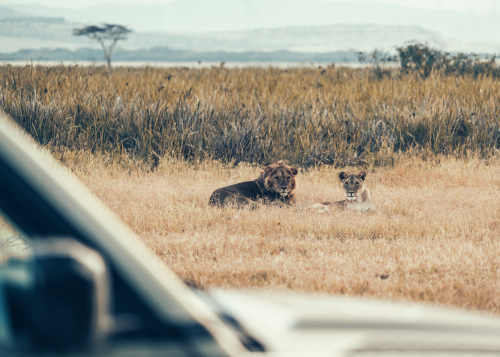 DEFENDER AND TUSK TAKE CONSERVATION INTO A NEW ERA 