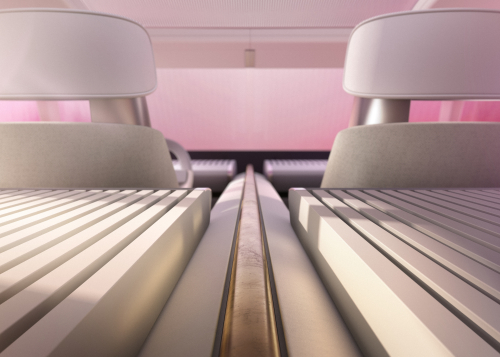 TYPE 00 INTERIOR - RHODON ROSE