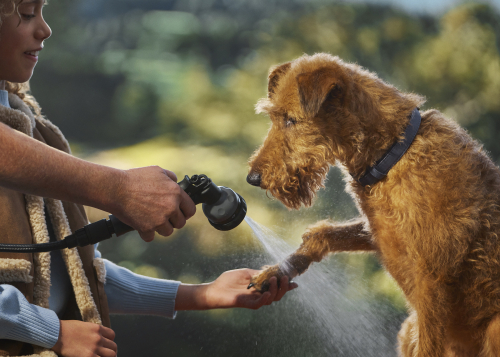 DISCOVERY ACCESSORY PACK: FOR DOGS