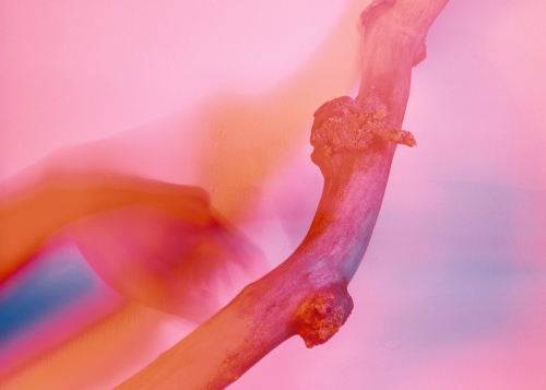Shortlisted works - Nicholas Burns