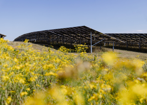 JLR Gaydon solar farm 2